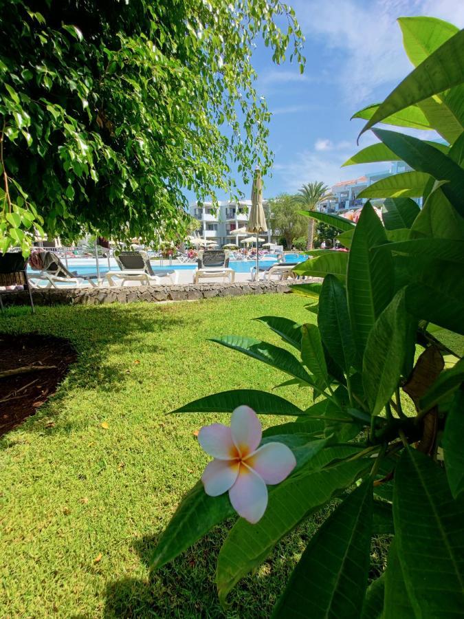 Private Apartment 150 Hg Tenerife Sur Los Cristianos  Ngoại thất bức ảnh